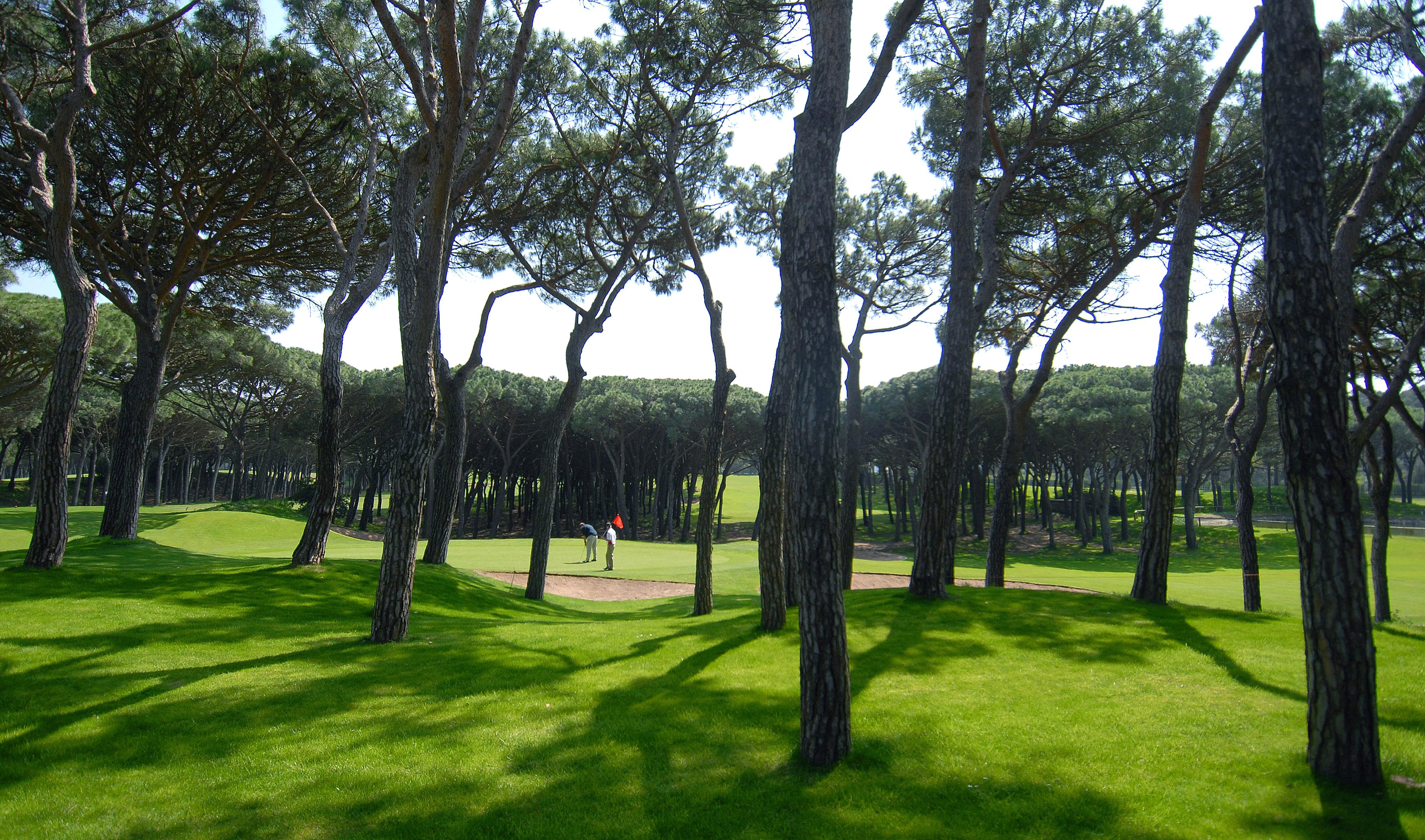 La Costa Hotel Golf & Beach Resort 팔스 외부 사진