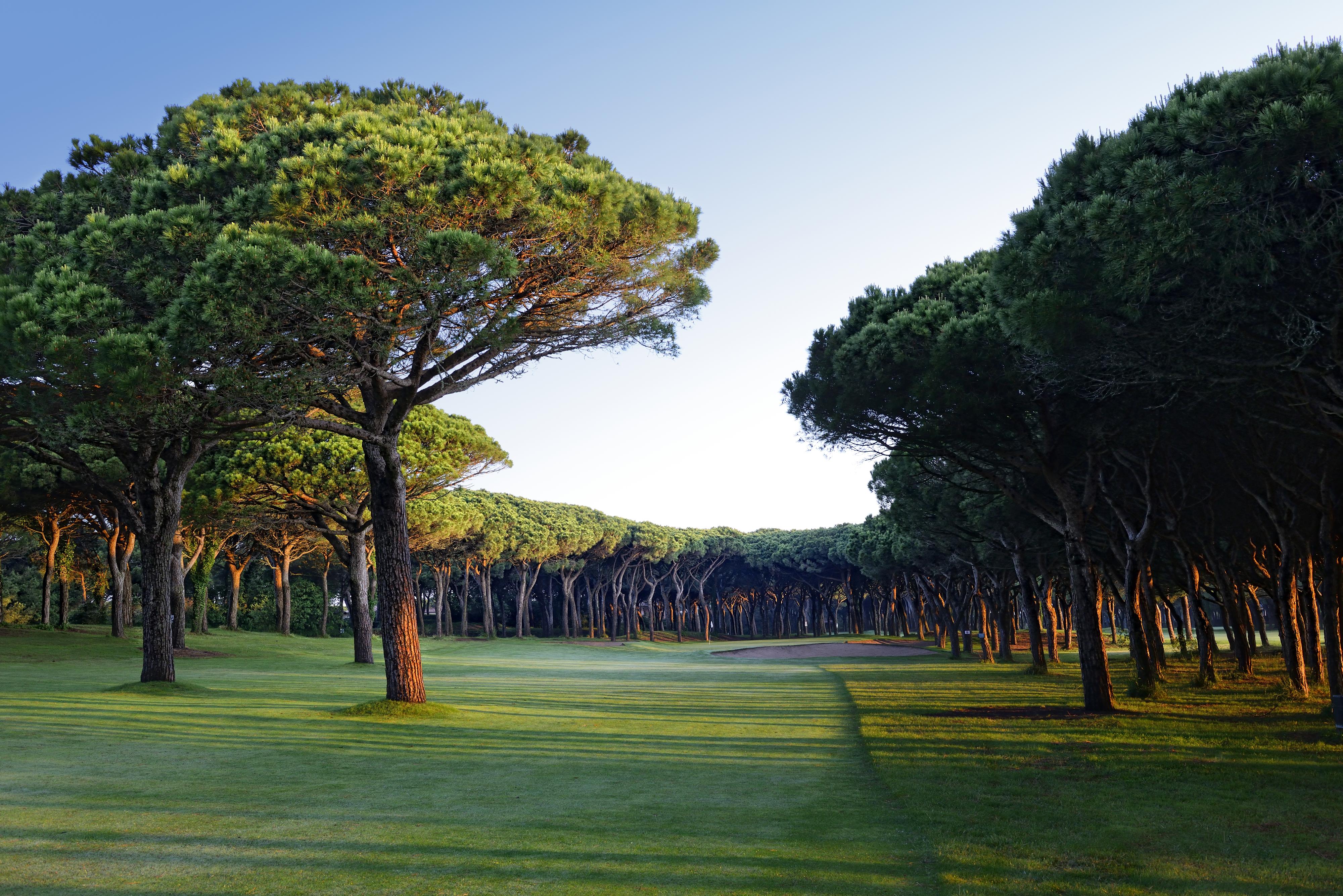 La Costa Hotel Golf & Beach Resort 팔스 외부 사진