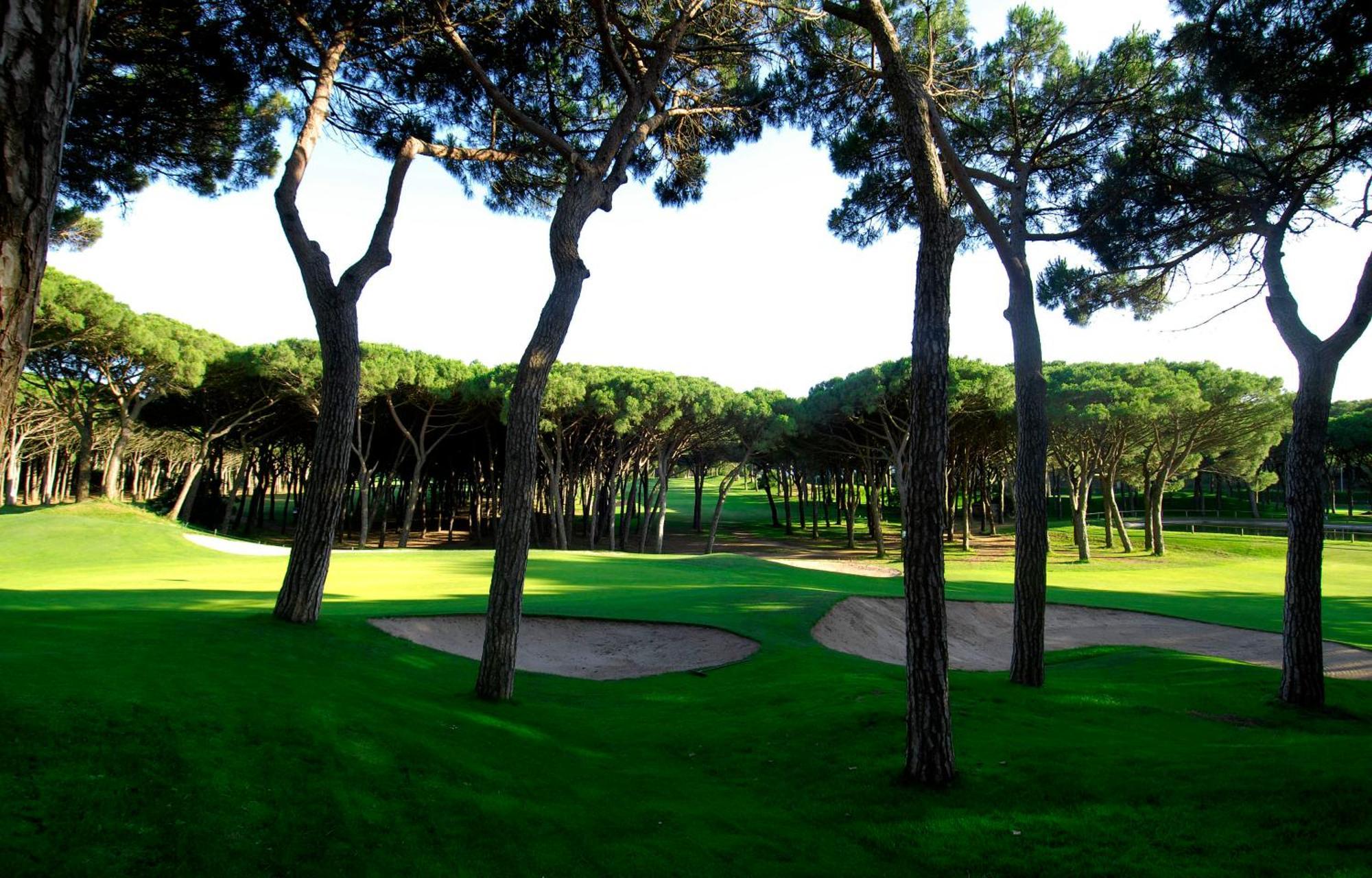 La Costa Hotel Golf & Beach Resort 팔스 외부 사진